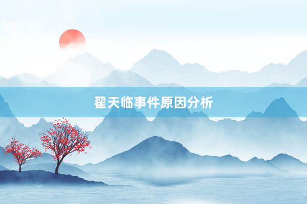 翟天临事件原因分析