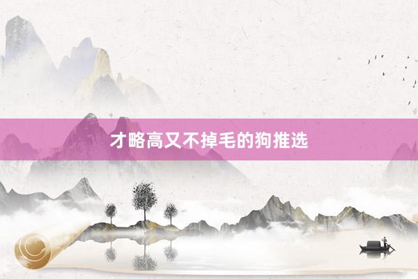 才略高又不掉毛的狗推选