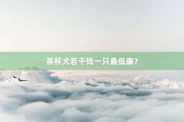 茶杯犬若干钱一只最低廉？