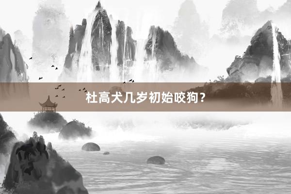 杜高犬几岁初始咬狗？