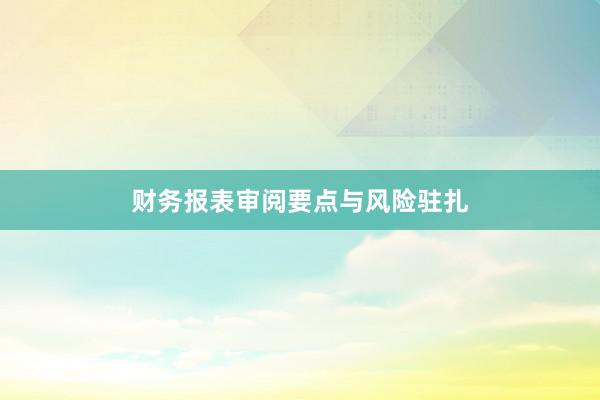 财务报表审阅要点与风险驻扎